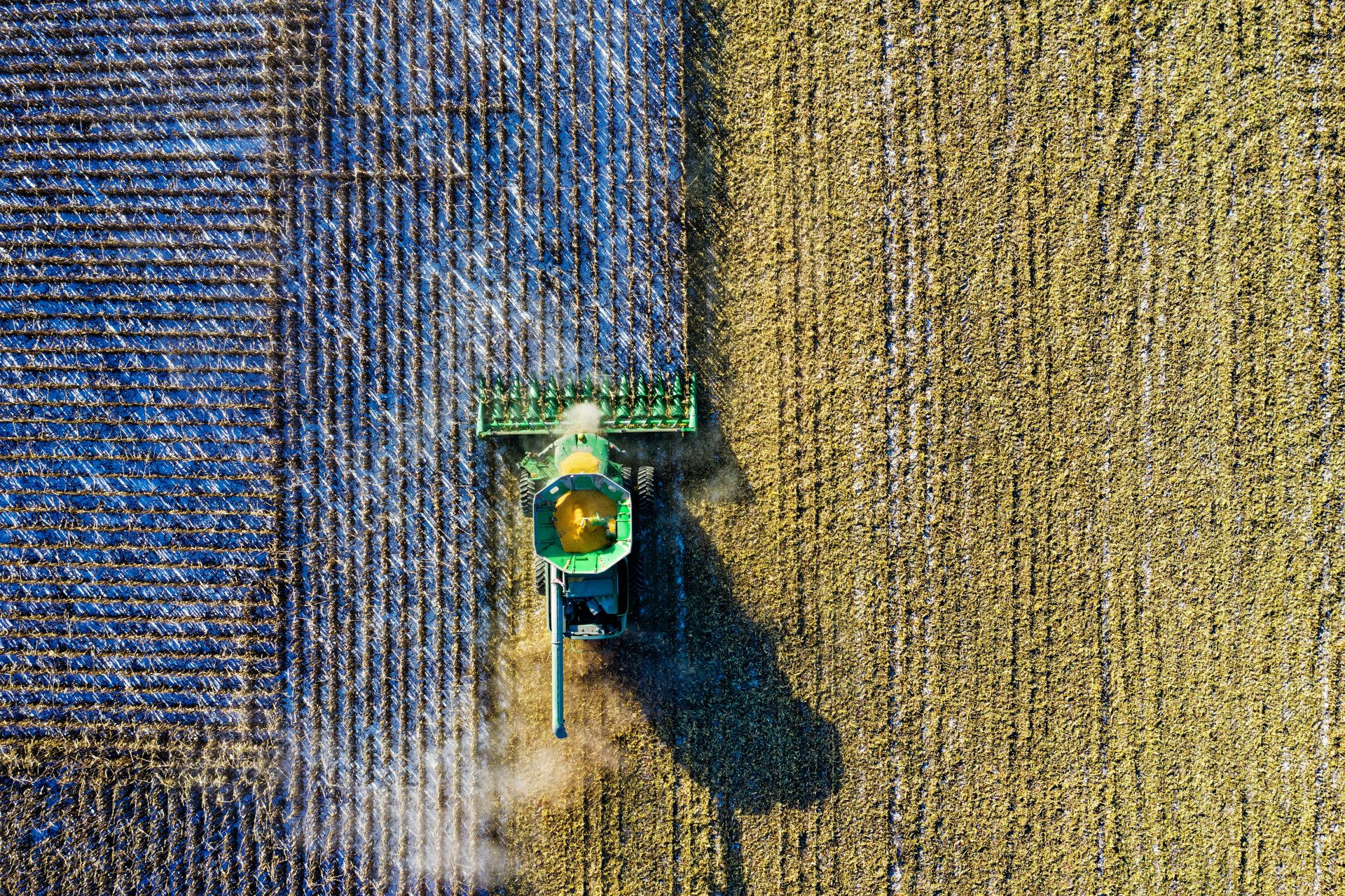 Agriculture