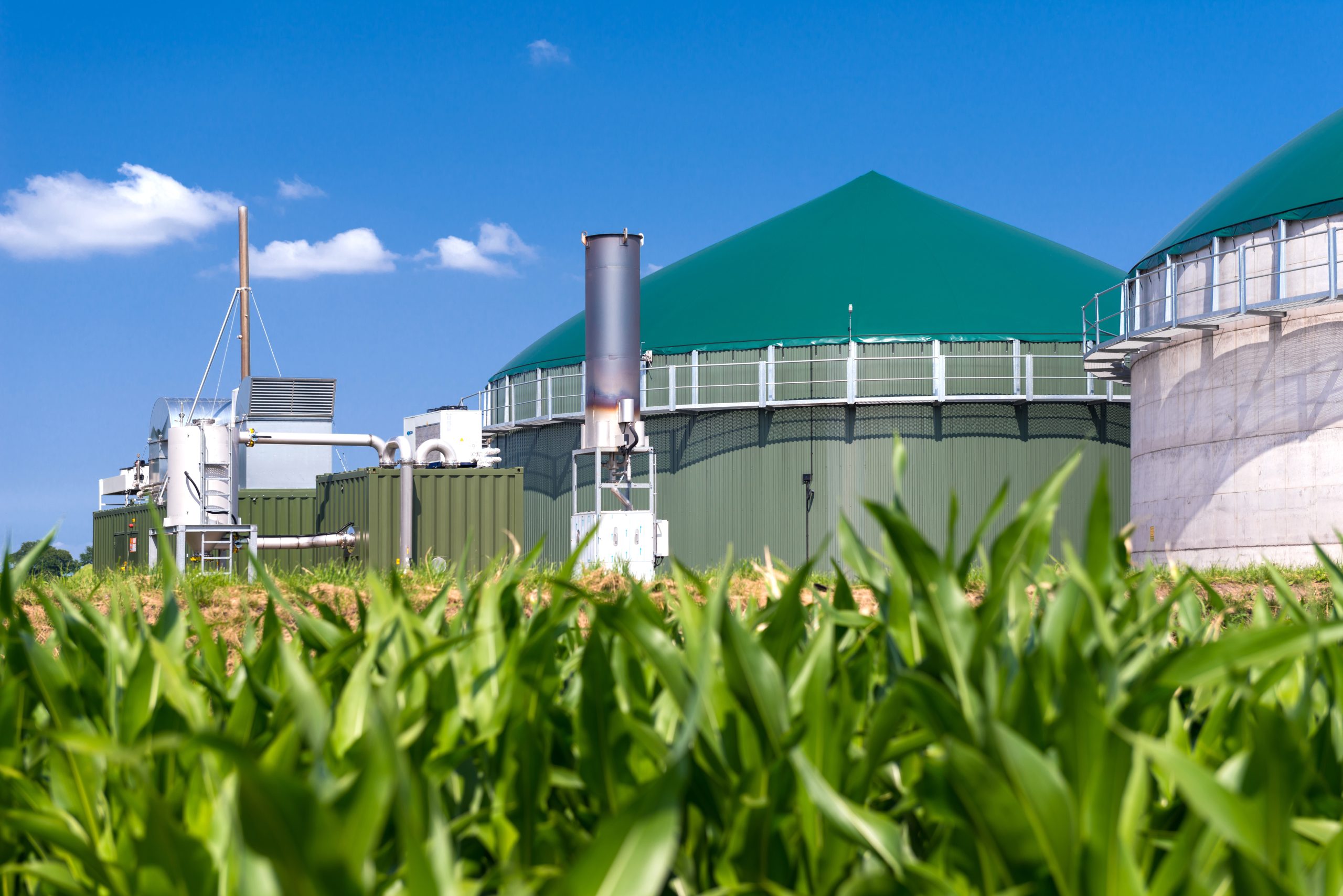 Biogasanlage mit Maisfeld 3137 Biogasanlage mit Maisfeld 3137