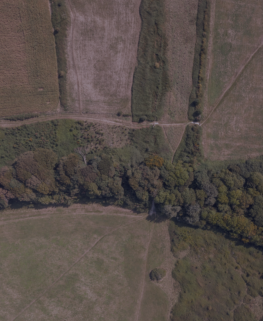 geoservices-agricultural-land-pattern